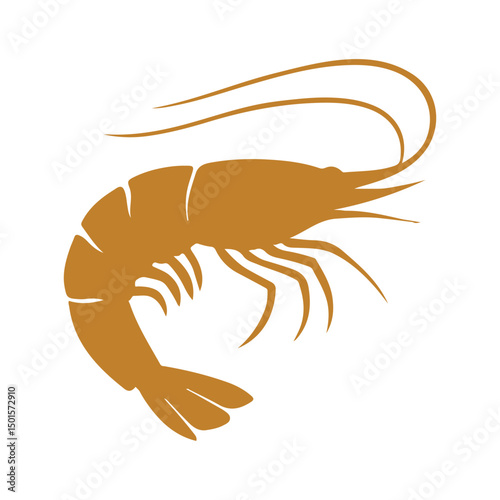 shrimp vector illustration
