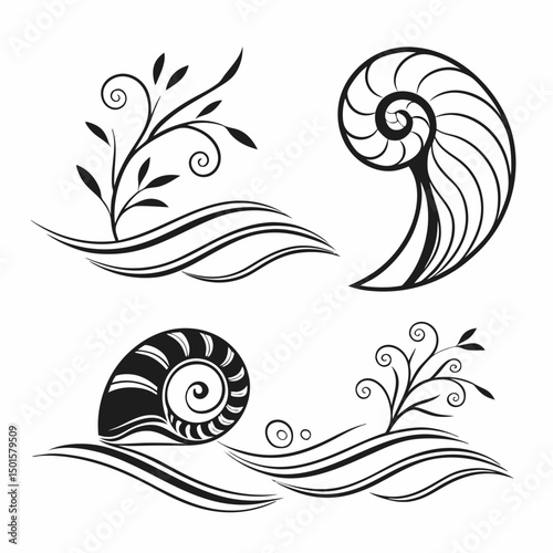 Nautiluses shells swirls waves floral design elements