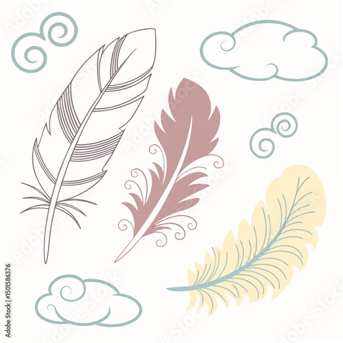 Elegant feather set design elements transparent background