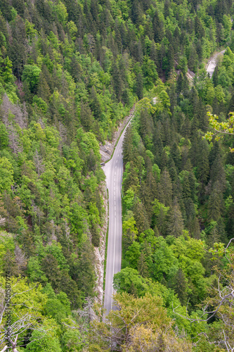 Route dans la forêt au printemps, vue depuis d'en haut