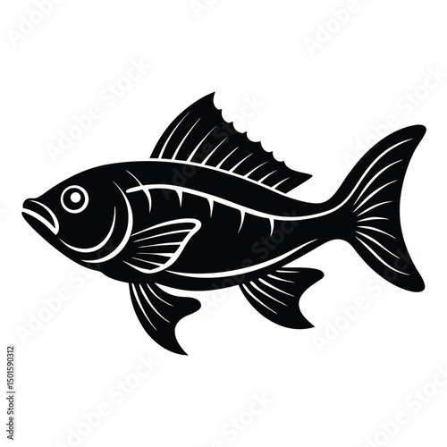 zander vector sihouette