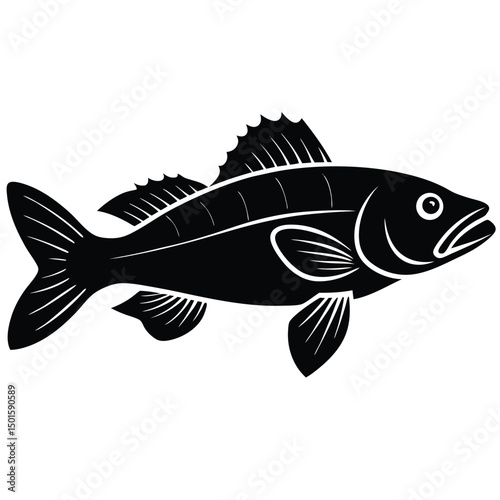 zander vector sihouette