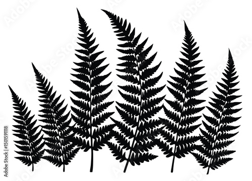 Joshua trees leaf silhouette vector icon flat illustration.