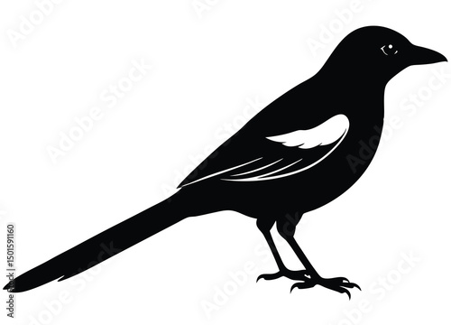 Fly kookaburra bird silhouette vector clipart illustration.