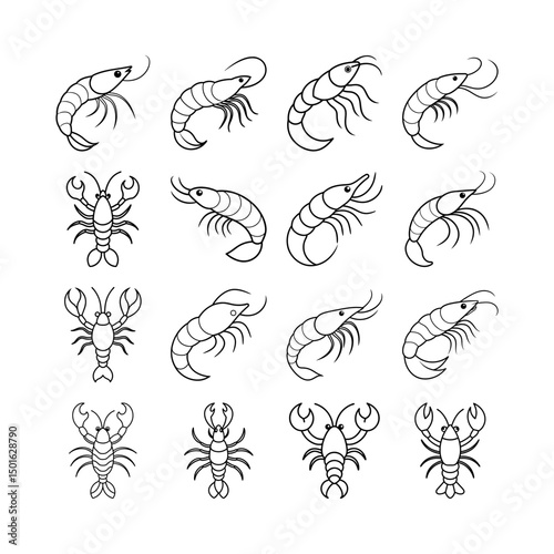 Lobster and Shrimp Transparent Line Art Vector Set for Seafood Graphic Projects