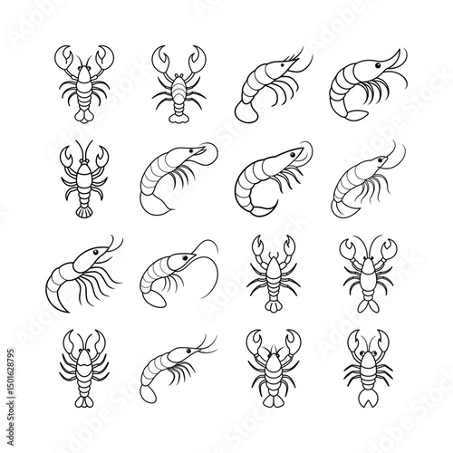 Detailed Shrimp Line Art Vector Illustration for Food Branding Projects
