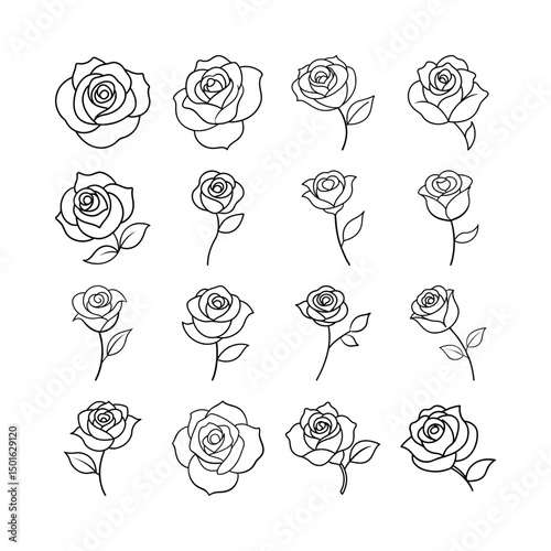 Transparent PNG Rose with Leaf Line Art Vector for Wedding or Romantic Themes