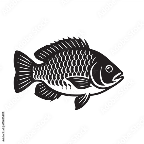 freshwater fish isolated on white background