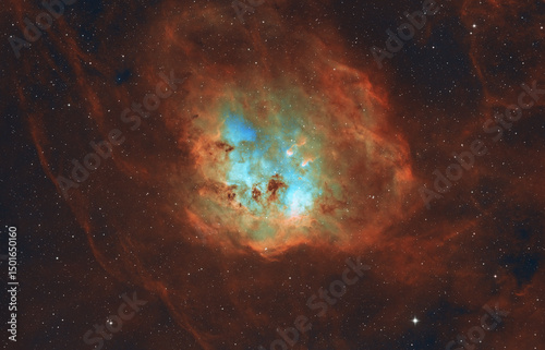 Tadpole Nebula (IC 410) Star-Forming Region in Auriga