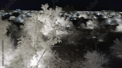 Wallpaper Mural Ethereal Nightscape Of Luminescent Vegetation In Desert Landscape Torontodigital.ca