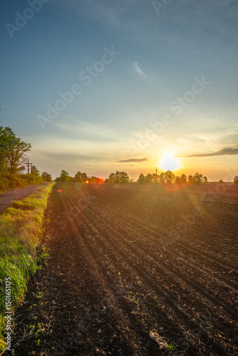 Vast Meadow Landscape with Gentle Slopes and Bright Sunshine
