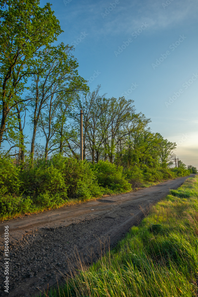 Fototapeta premium Serene Countryside View with Dirt Path and Rolling Green Hills