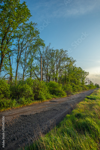 Serene Countryside View with Dirt Path and Rolling Green Hills