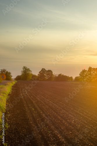 Serene Countryside with a Narrow Track Leading into the Distance