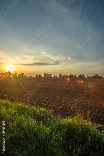 Soft Light on a Rural Road Cutting Through Green and Golden Fields
