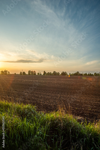 Sun Dappled Path in a Peaceful Agricultural Landscape
