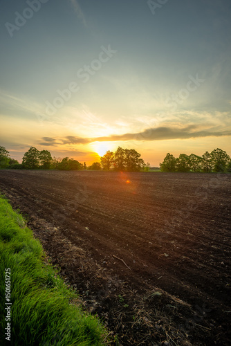 Open Countryside Road Amidst Rolling Greenery and Clear Skies
