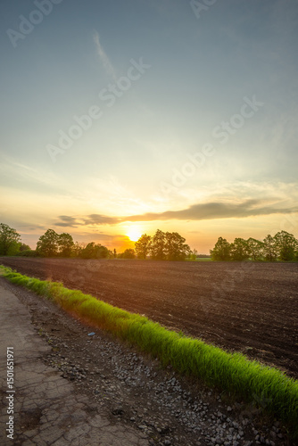 Rural Road Stretching into the Distance Through Lush Landscapes