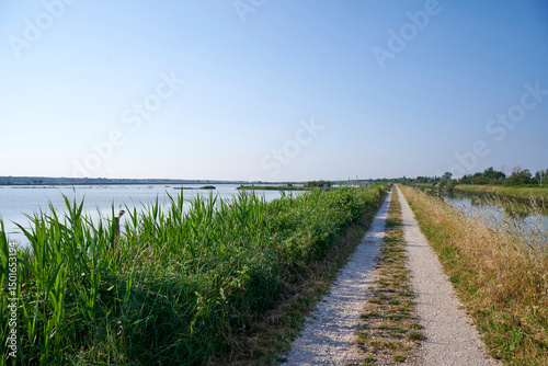 valli di comacchio