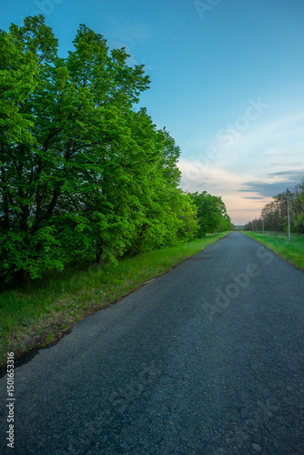 Rural Road Lined with Vibrant Green Trees at Twilight