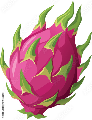 Vibrant pink dragon fruit illustration isolated on white background