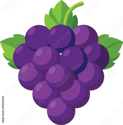 A cluster of ripe purple grapes with lush green leaves
