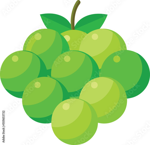 A cluster of green grapes illustration featuring a simple design and vibrant hues