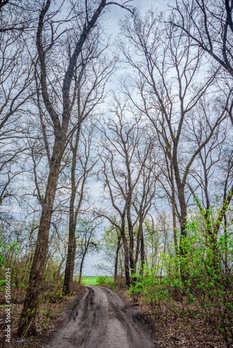 Fields and train around the forest , landscape photography with train and power electricity lines ,woods ner the reailway road 
