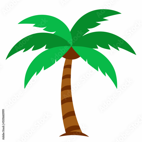 tropical palm tree