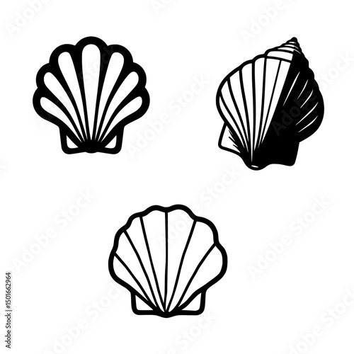 Black Vector Sea Shells Top-Down, Minimal Beach Silhouette Illustration
