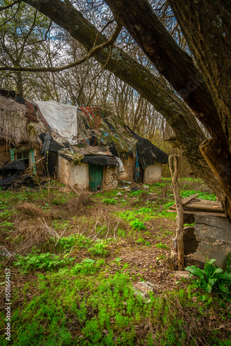 Picturesque View of an Old Derelict House and Well Framed by Bare Trees