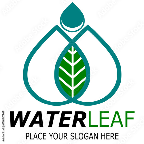 
Water Leaf Logo Vector Images