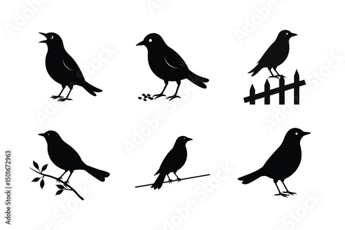 Wallpaper Mural Blackbird silhouette bundle  illustration, Blackbird silhouette  vector  Torontodigital.ca
