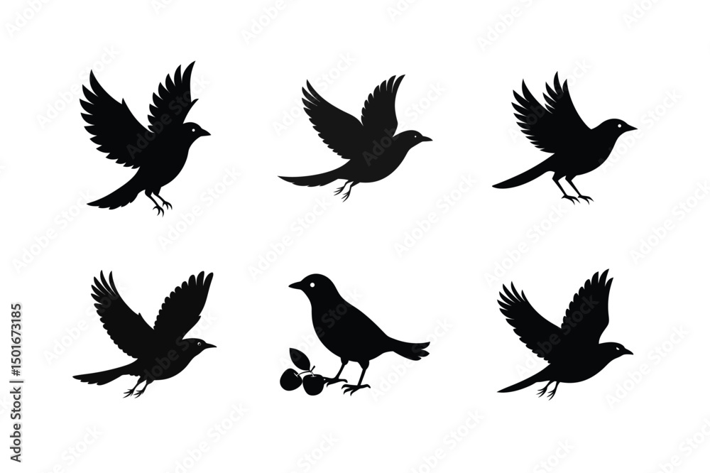 Obraz premium Blackbird silhouette bundle illustration, Blackbird silhouette vector 