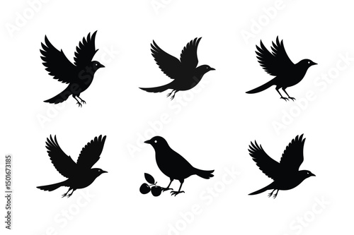 Blackbird silhouette bundle  illustration, Blackbird silhouette  vector 