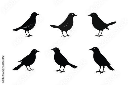 Wallpaper Mural Blackbird silhouette bundle  illustration, Blackbird silhouette  vector  Torontodigital.ca