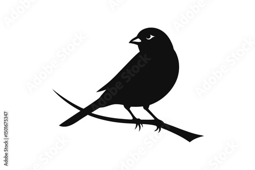 crow on a branch