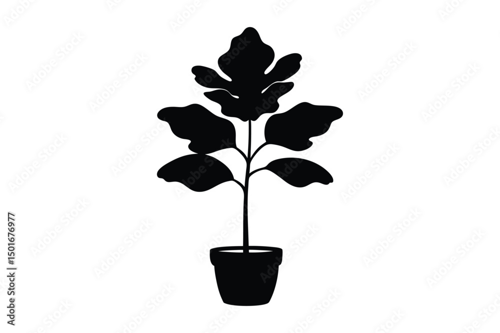 Fototapeta premium Monstera leaf silhouette bundle illustration, Monstera leaf silhouette vector 