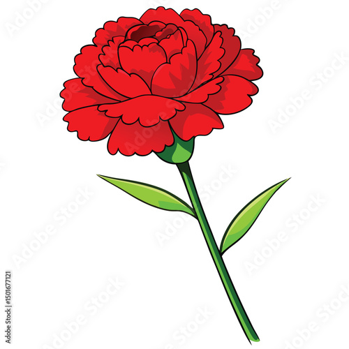 Red flower on a white background