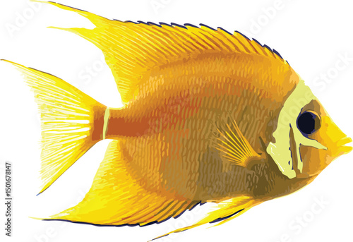 A vibrant yellow tang, a stunning tropical fish, gracefully swims in an aquarium with a blue background