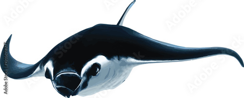 A graceful dolphin leaps from the water against a pristine white background.