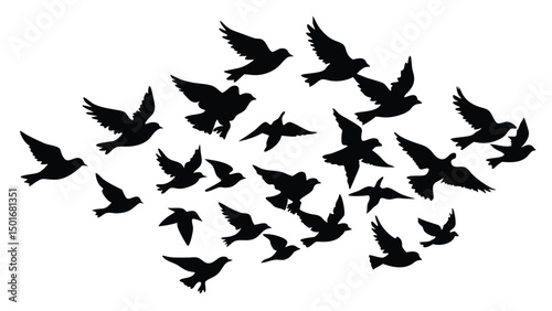 A flock of birds at sunset. Vector abstract silhouette of flying birds Pattern of sunrise and geese or ducks
