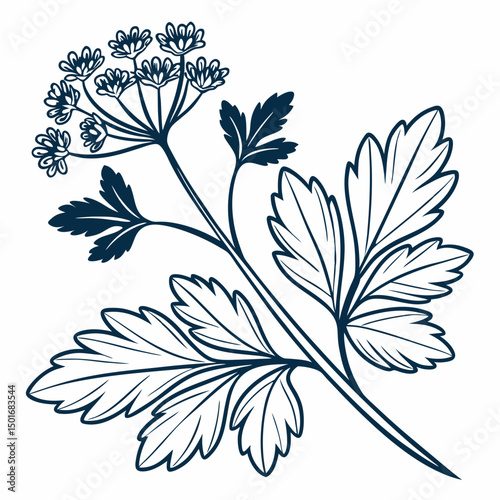 Herb-leaf-icon-duotone