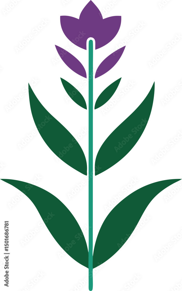Obraz premium Foxtail flower vector illustration on transparent background.