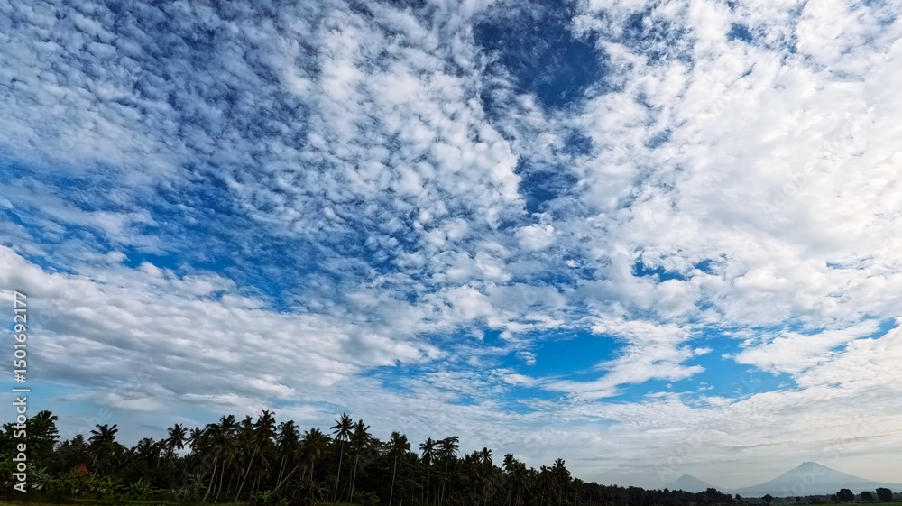 Fototapeta premium Cloudy Sky and Nature - Sky Background