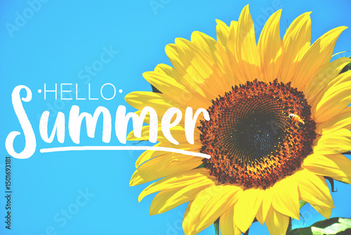 Hello Summer