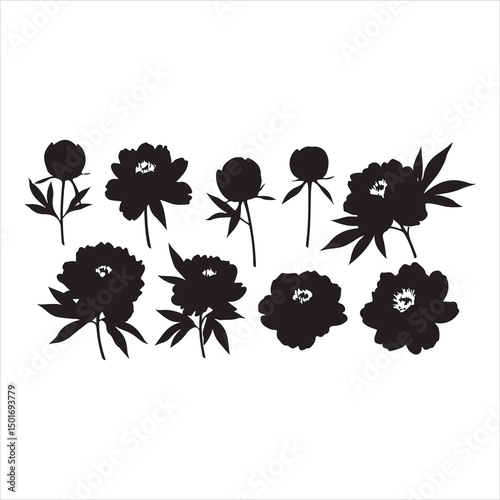 Rose Silhouette Vector Illustration