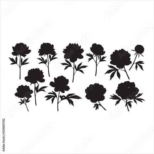 Rose Silhouette Vector Illustration