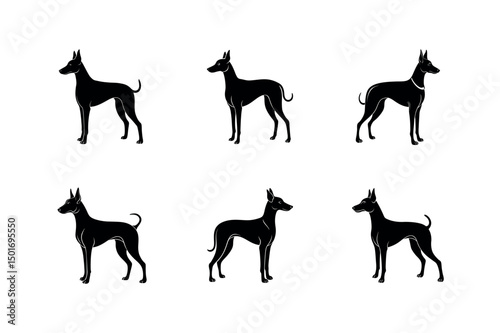 Cirneco dellEtna Dog Breed Graphic