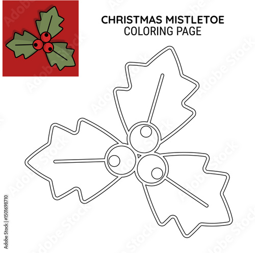 Christmas mistletoe coloring page illustration vector design. Suitable for teaching coloring to kids